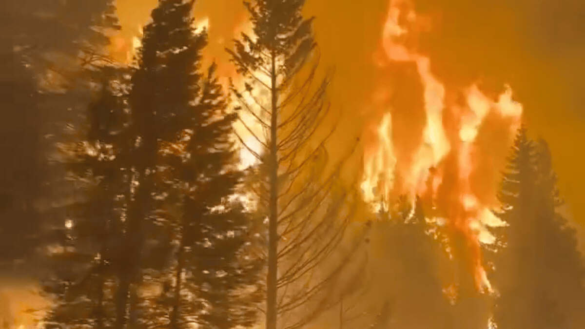 Incendios forestales en Chubut. Incendios forestales en Chubut.