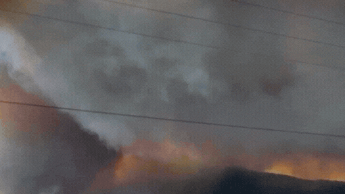 Emergencia ígnea por los incendios en la Patagonia (Archivo) Emergencia ígnea por los incendios en la Patagonia (Archivo)