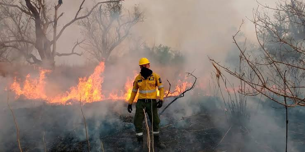 Incendios forestales en Jujuy (foto de archivo).