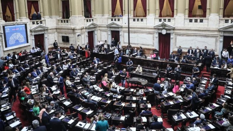 Diputados aprobó un proyecto para facilitar la renovación del Certificado Único de Discapacidad.