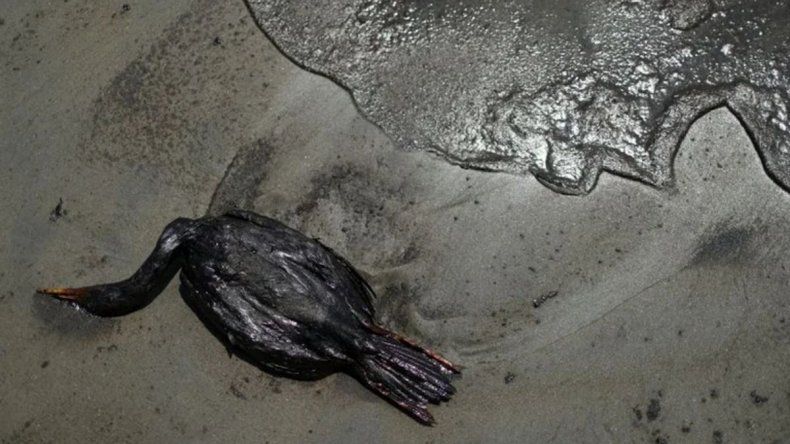 Perú decretó emergencia climática debido a la contaminación