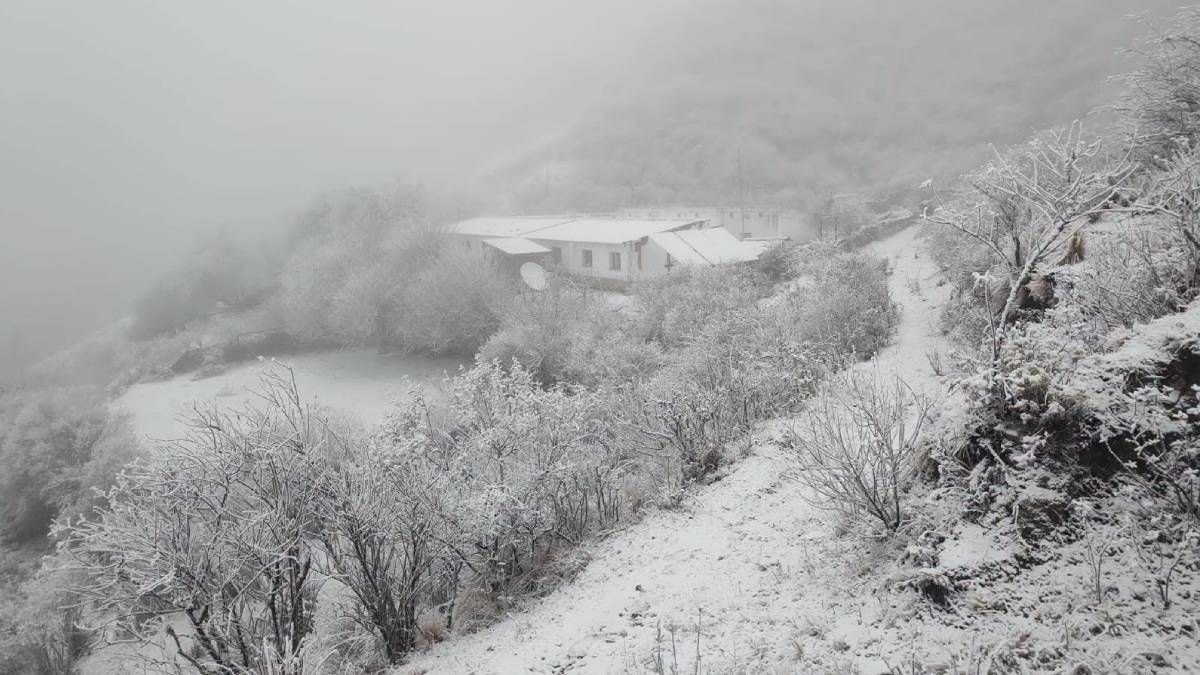 Nevó en Jujuy: las increíbles imágenes de la nevada en Molulo