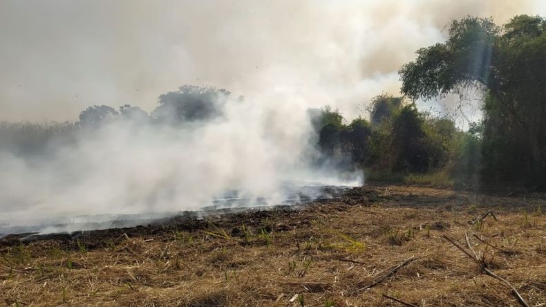 Libertador: el fuego casi quema una escuela&nbsp;