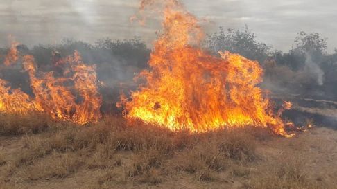 Todo Jujuy | INCENDIOS FORESTALES.jpg