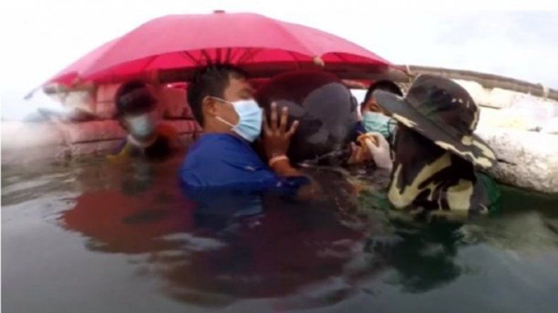 Una ballena murió en la costa de Tailandia después de tragar más de 80 bolsas de plástico