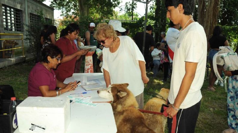 Talleres y operativos de vacunación en San Salvador de Jujuy