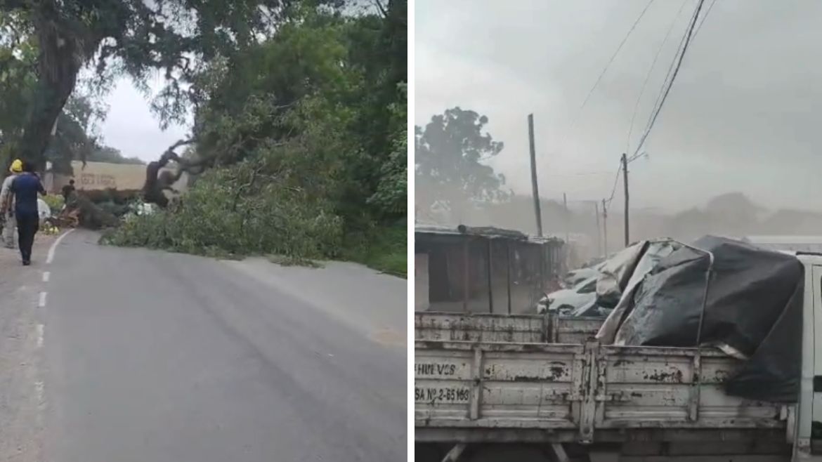 Alerta amarilla en Jujuy: recomendaciones para prevenir accidentes durante tormentas