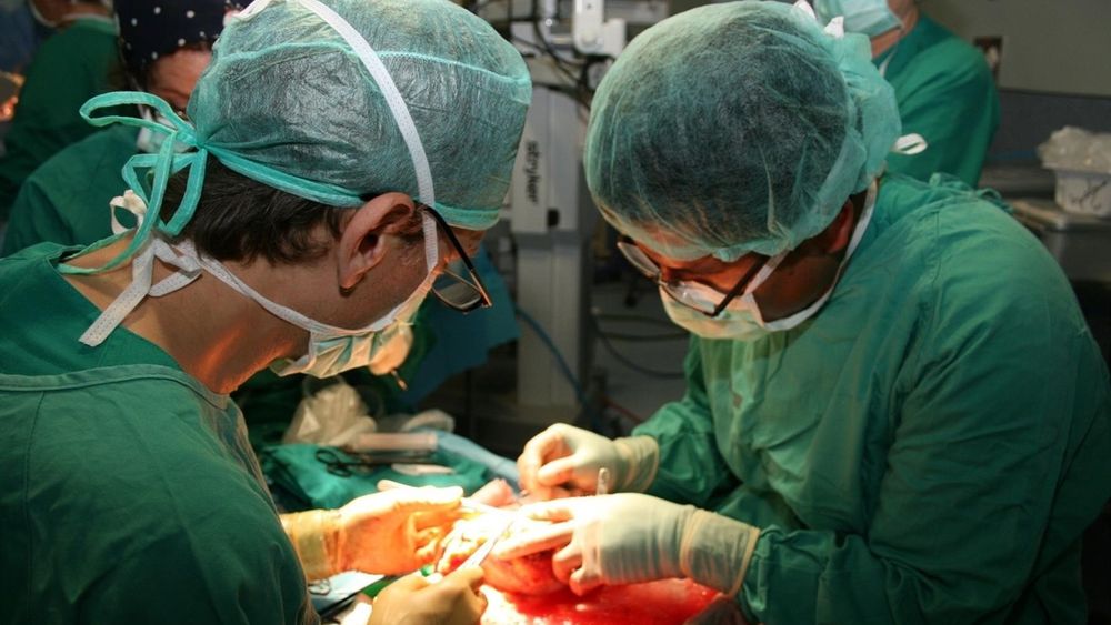 Dar vida: Sé que vive una pequeña parte de mi viejo en cada una de esas personas