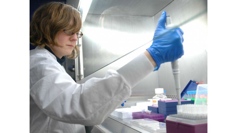 Fertilización asistida