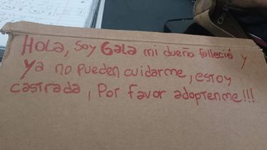 El cartel. El cartel.