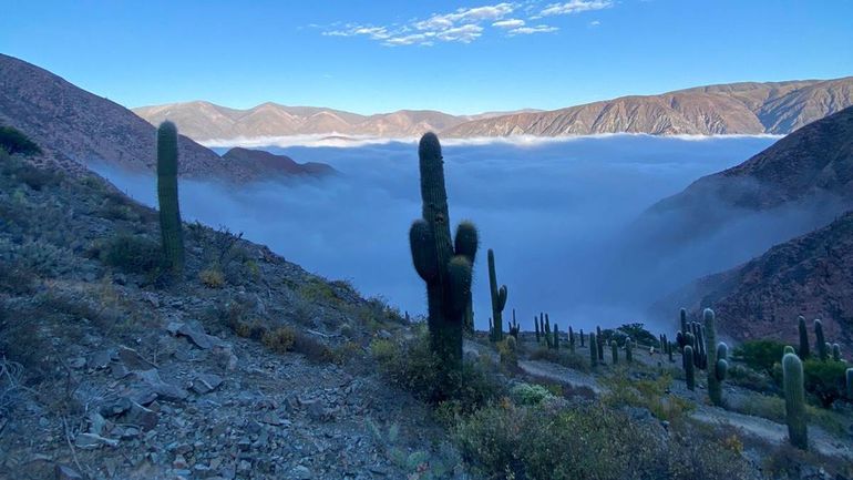 Ascenso a Punta Corral por Tunalito