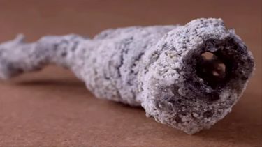 Un rayo cayó en un árbol en EE.UU y produjo&nbsp;un nuevo material de fósforo en una roca nunca visto en la Tierra.