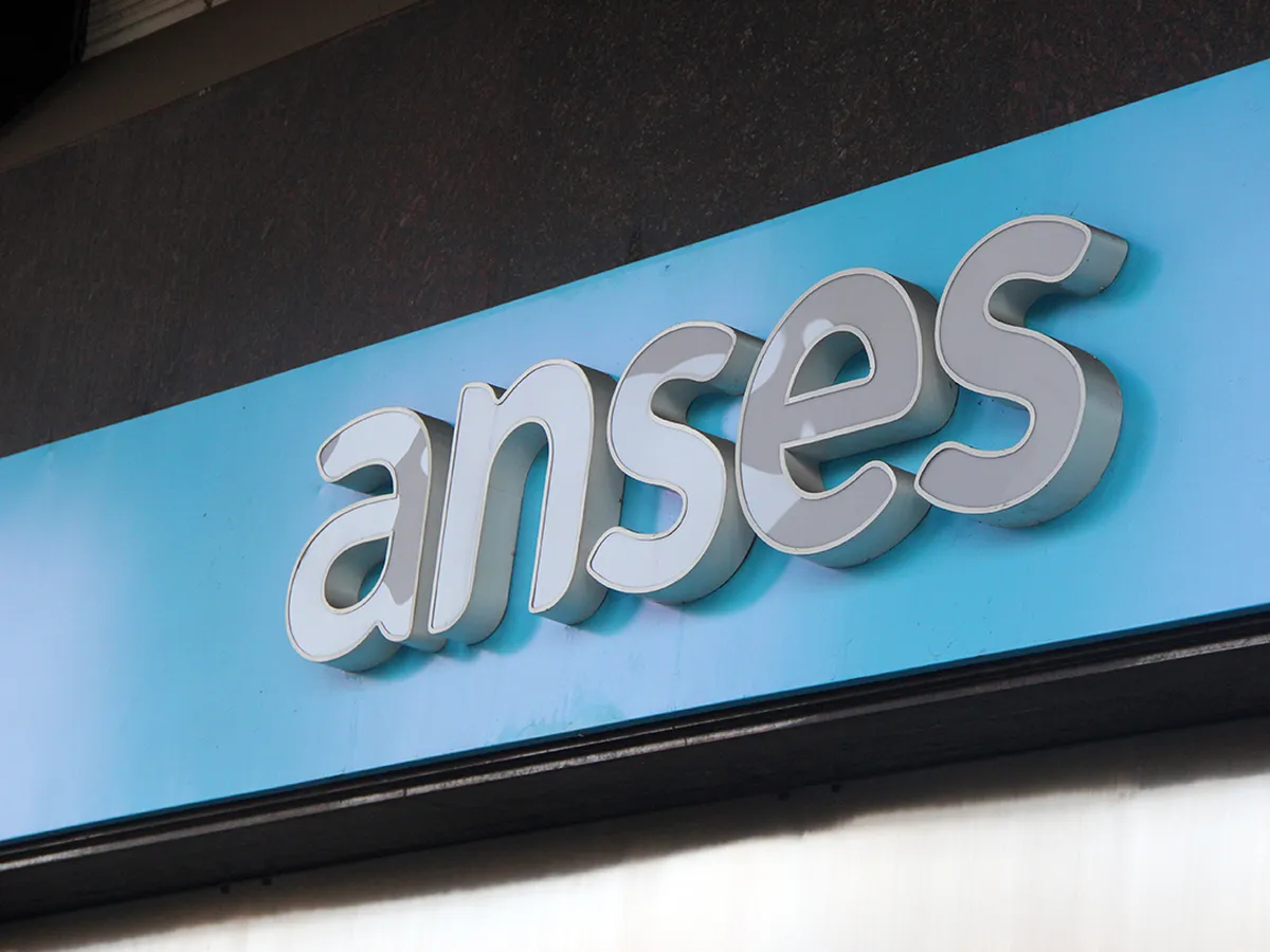 Cronograma de ANSES.