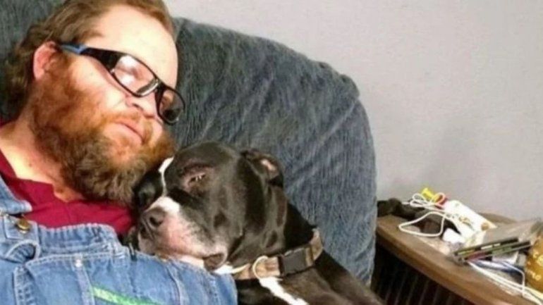 Sin rencores, perro y hombre ya están juntos otra vez