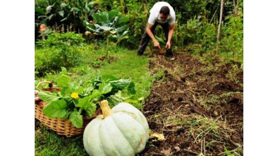 Agricultura Familiar