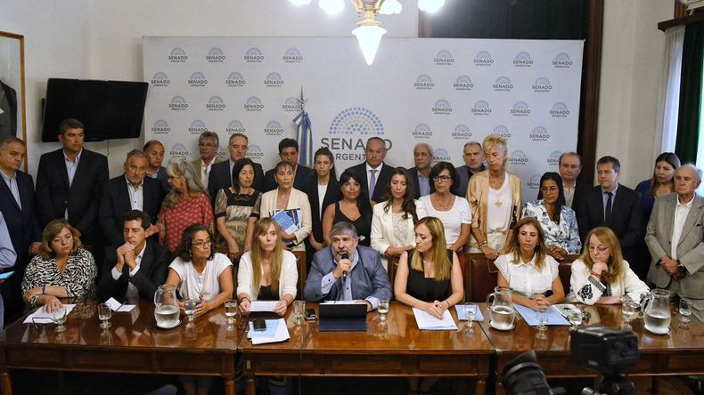 Kirchnerismo en el senado.jpg