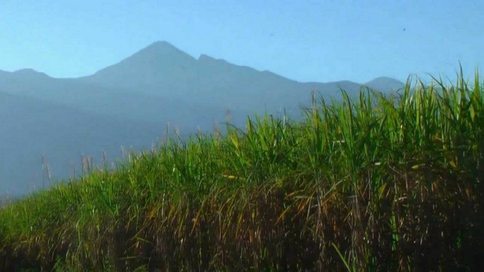 Ladrillo low cost permite reducir hasta un 40% los costos de construcción