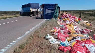 Volcó un camión con alimento para perros y lo donaron a refugios.