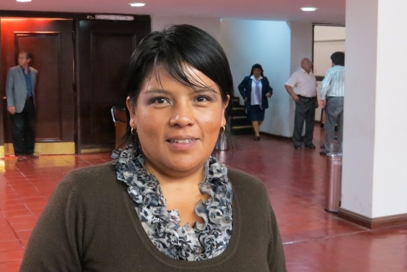 Diputada Eva Cruz