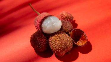 La fruta exótica que se produce en Jujuy y Salta