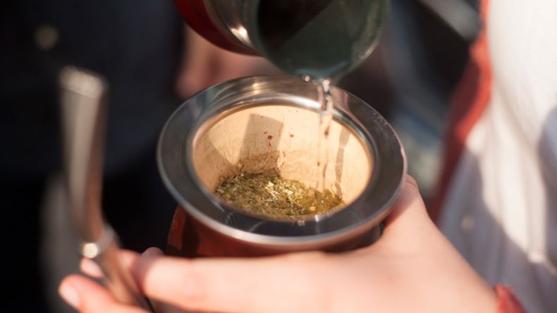 Cómo curar el mate
