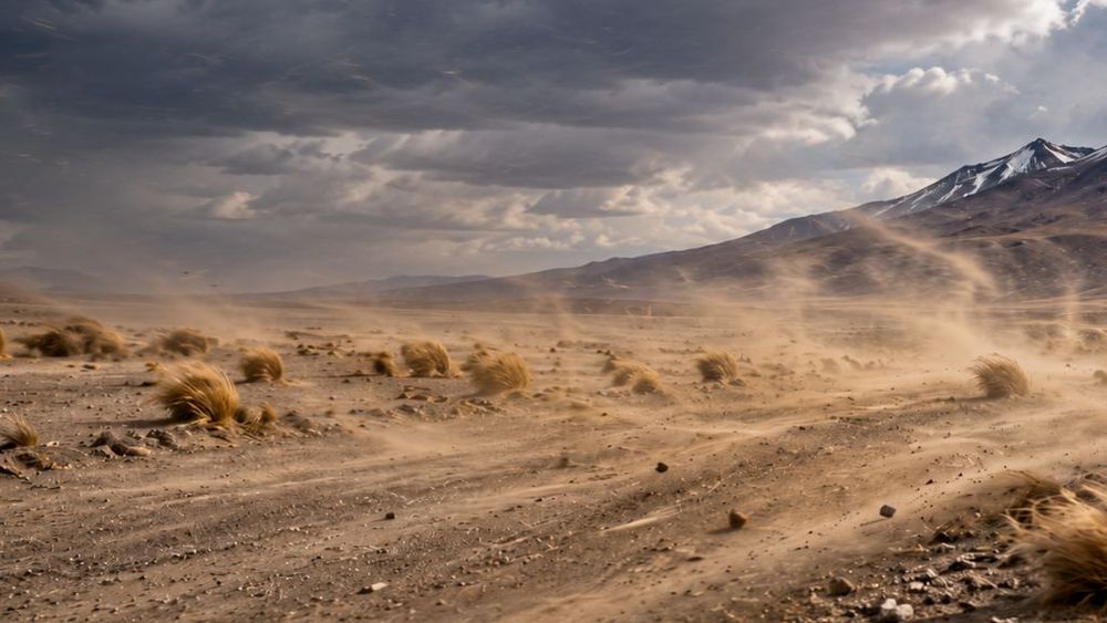 Alerta amarilla por vientos para Jujuy&nbsp;