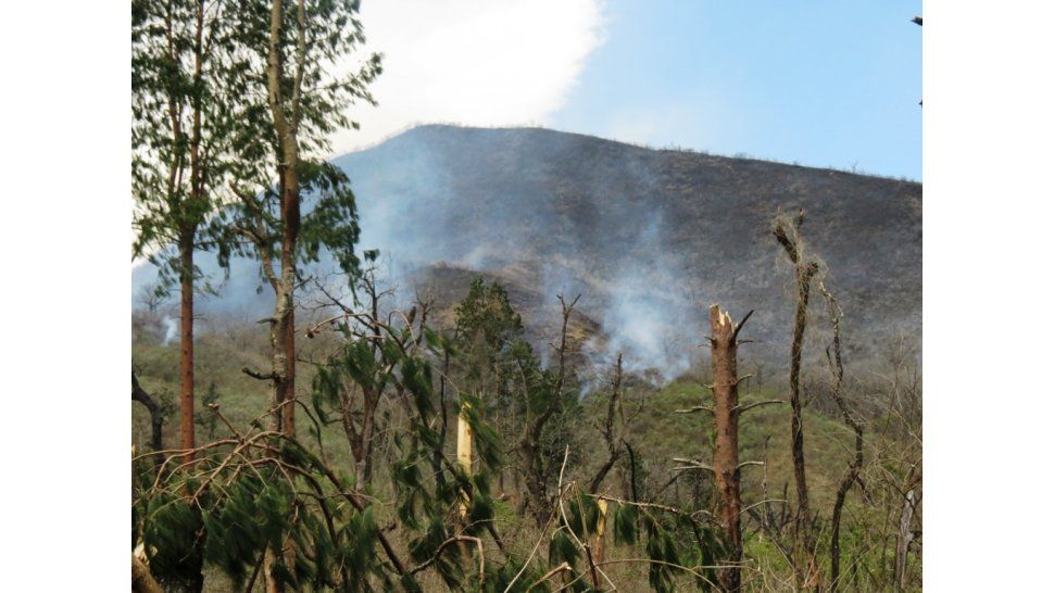 Foco de incendio