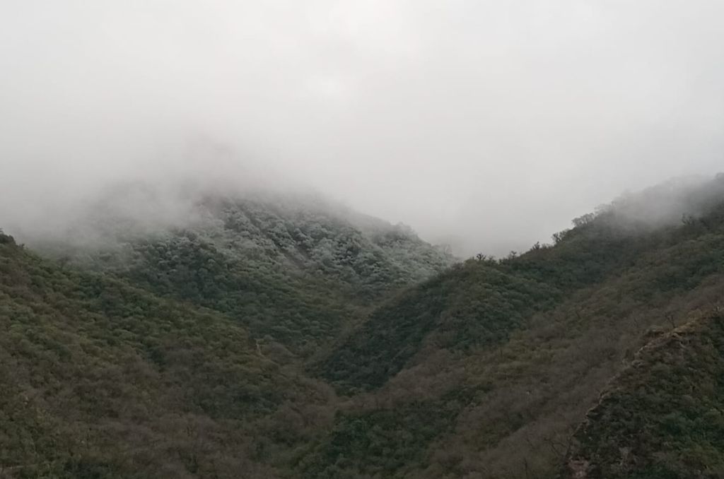 Ola polar en Jujuy: hasta cuándo dura y qué localidades afecta