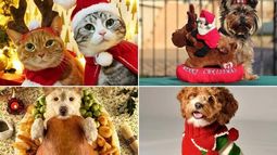 Concurso de disfraces navideño en Plaza Belgrano.