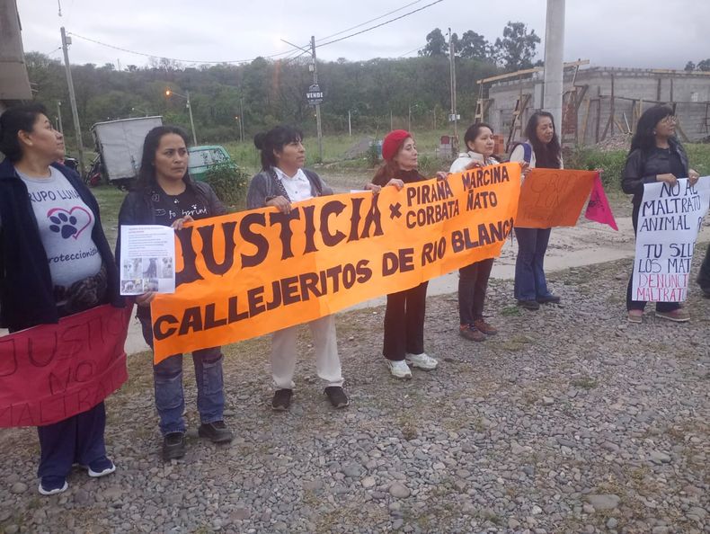 Marcha por perros que habrían sido envenenados en Río Blanco.