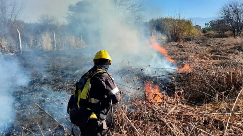 Incendios forestales.