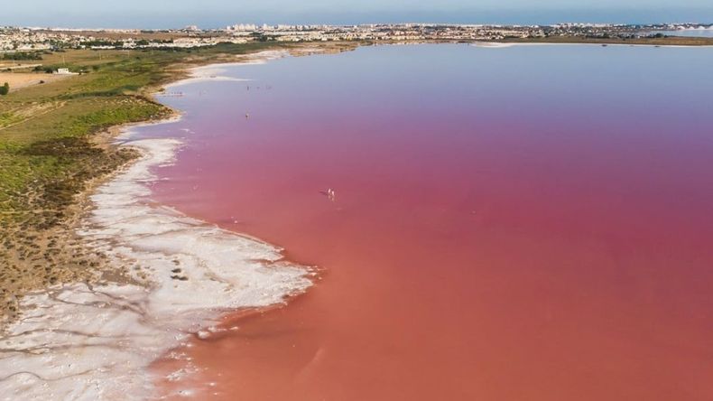 Impactantes imágenes de lagunas rosas en el mundo&nbsp;