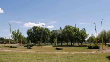 Una persona abandonó ocho juguetes sexuales en una plaza en Cipolletti.&nbsp;