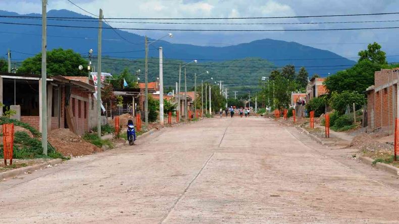 Abejas atacaron a una familia en Santa Clara (Foto ilustrativa)