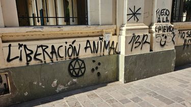Así quedaron las paredes de la Iglesia Catedral