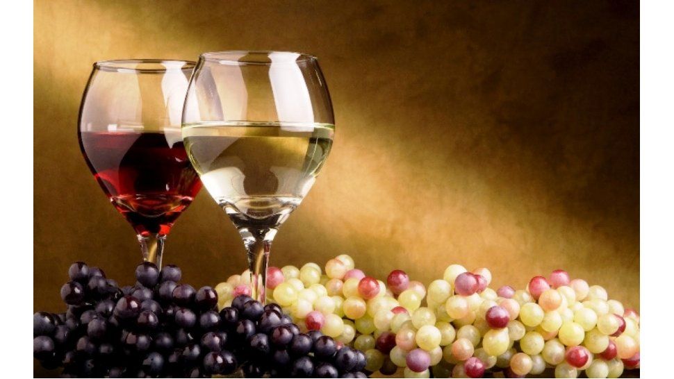 Argentina tierra de vinos