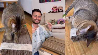 TikToker enseña cómo hacer un rascador para gatos de forma casera.&nbsp;