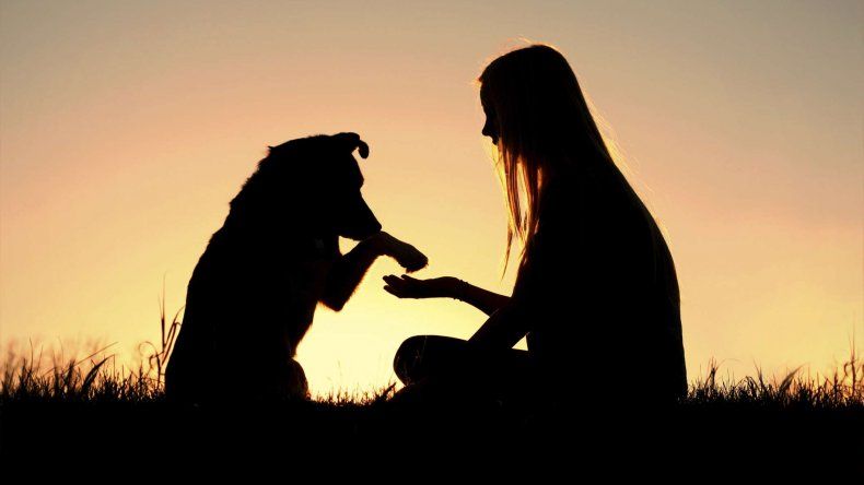 Según la psicología, la muerte de una mascota duele tanto como despedir a un familiar