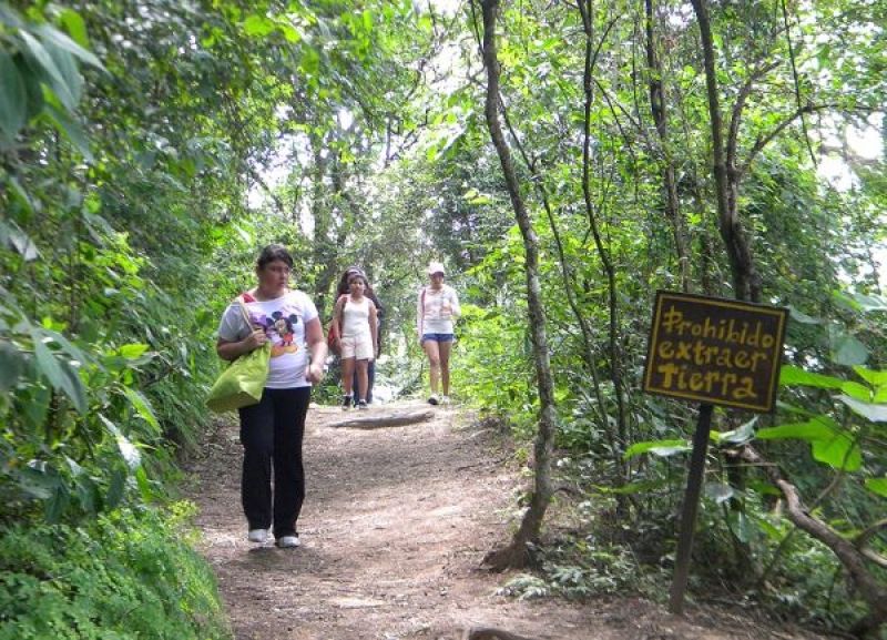 Parque Botánico