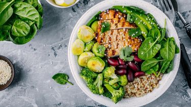 Según Harvard, ¿qué debe tener un buen plato de comida?.&nbsp;