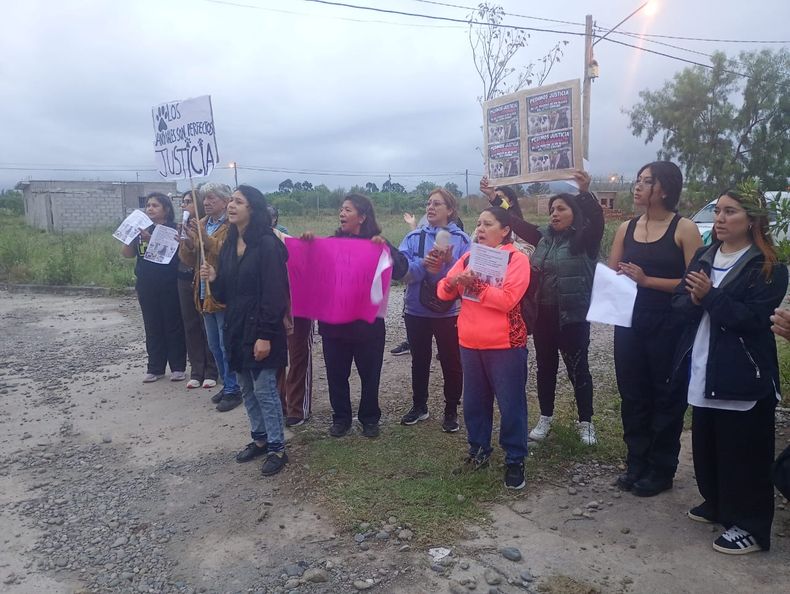 Marcha por perros que habrían sido envenenados en Río Blanco.