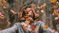 Hoy comienza el otoño, ¿por qué y a qué hora?.&nbsp;