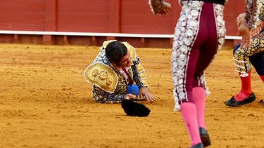 Un famoso torero español fue corneado en Sevilla y está muy grave. Un famoso torero español fue corneado en Sevilla y está muy grave.
