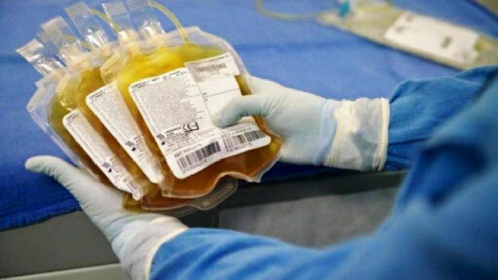 Coronavirus: Jujuy cuenta con plasma para 15 personas