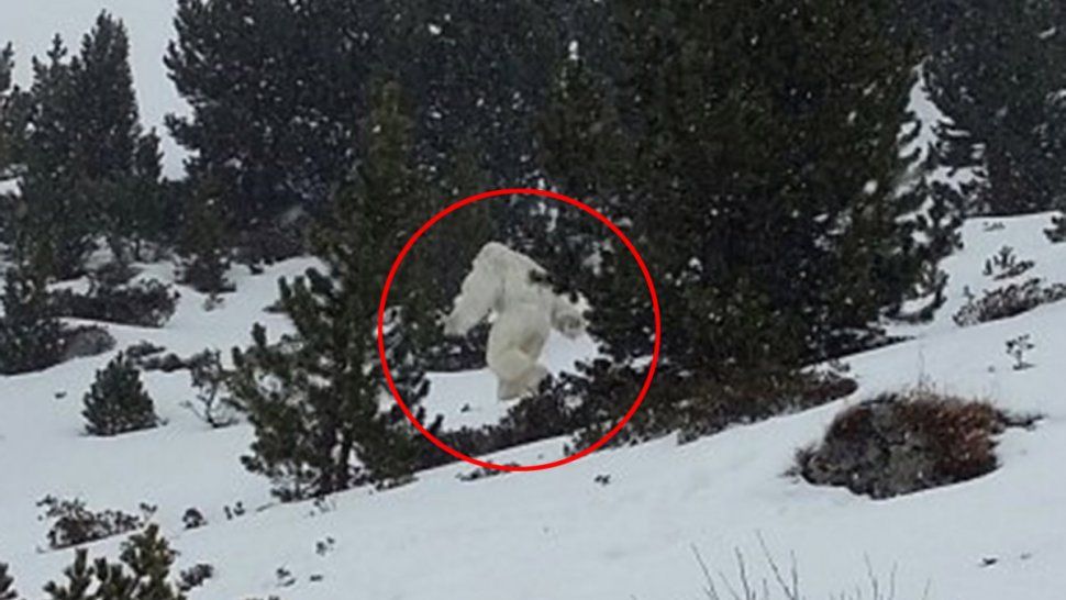 Aseguran haber descubierto rastros del Yeti o el hombre de las nieves
