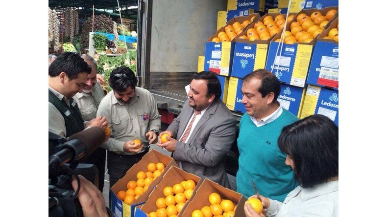 Naranjas jujeñas a Chile