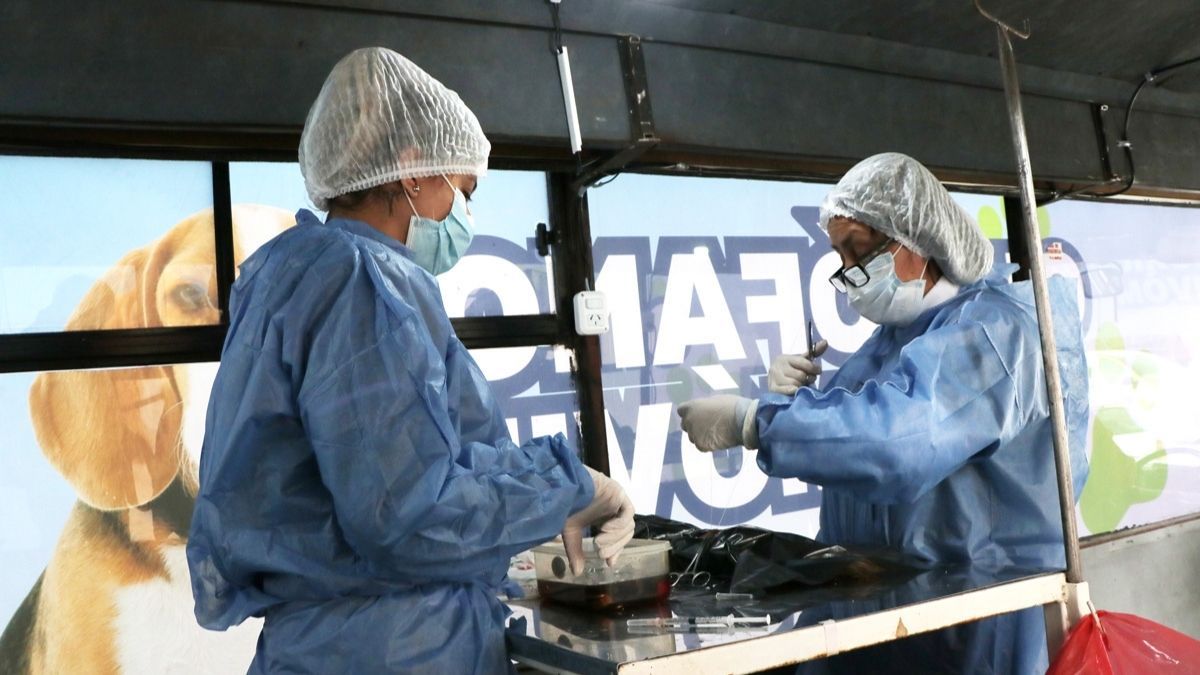 Palpalá avanza con la campaña de castración de mascotas