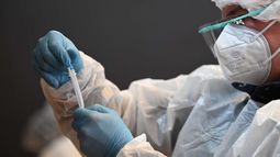 La OMS indicó que el coronavirus puede evolucionar, pero la enfermedad que produce perderá fuerza a raíz de la alta inmunidad de la población.