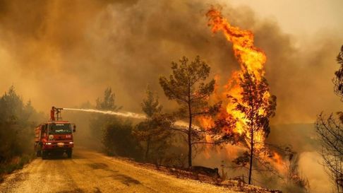 Todo Jujuy | incendios forestales.jpg