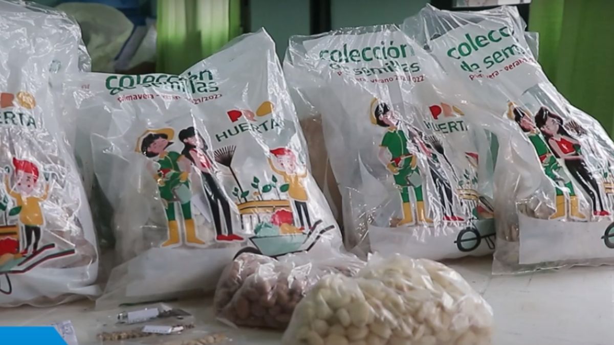 Entrega de semillas de verduras de estación en Palpalá.